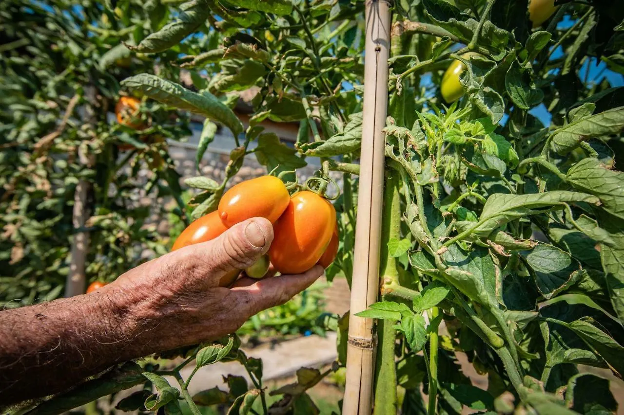 Agriturismo La Pertica Costermano sul Garda Bauernhof