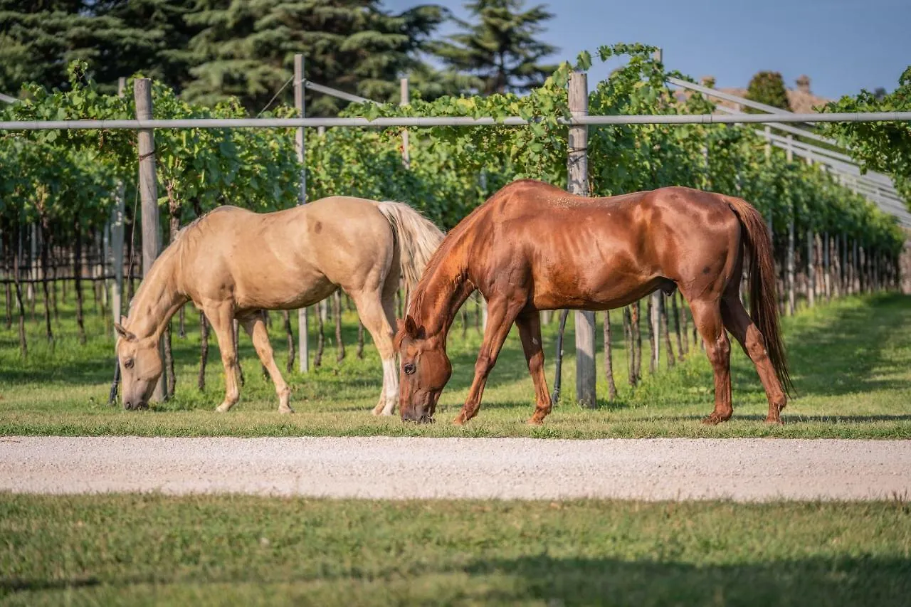 Séjour à la ferme Agriturismo La Pertica Costermano