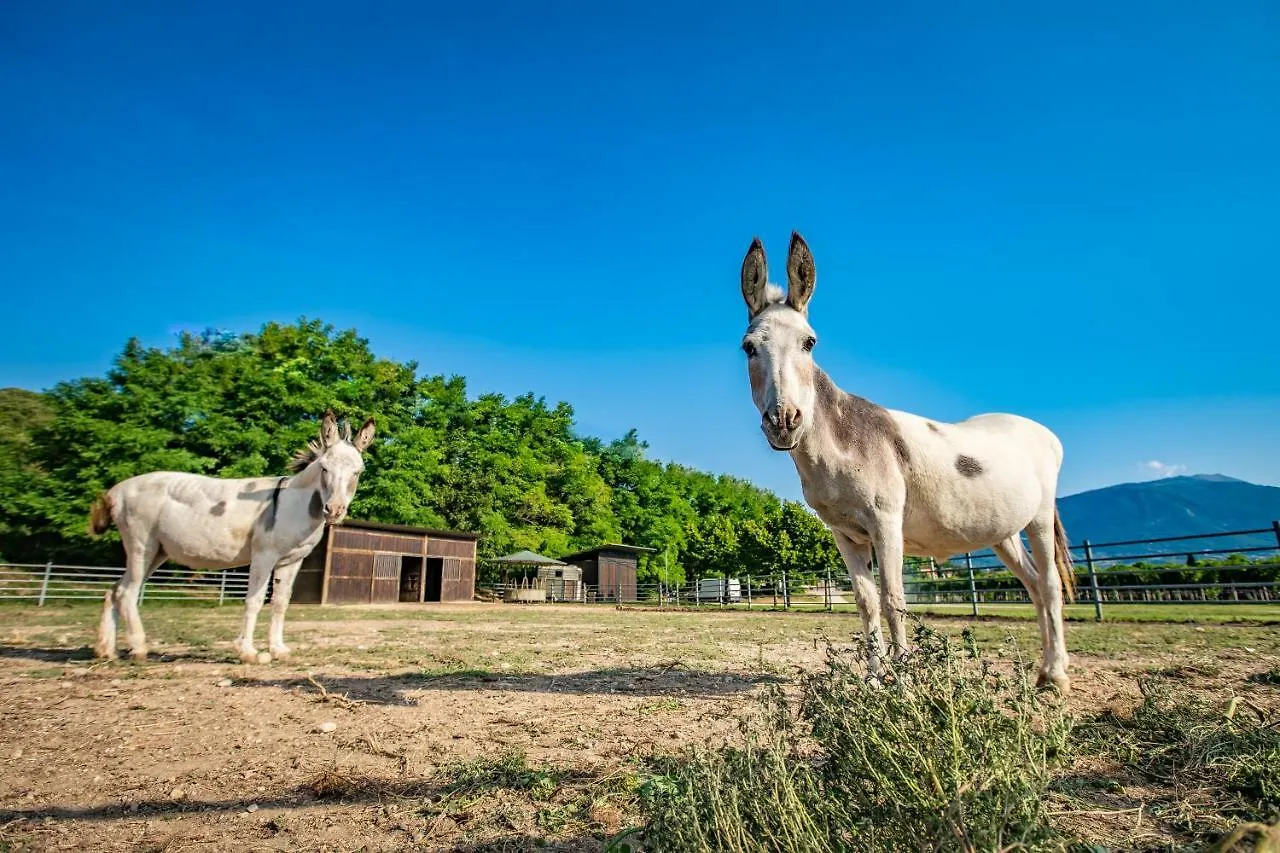 Séjour à la ferme Agriturismo La Pertica Costermano
